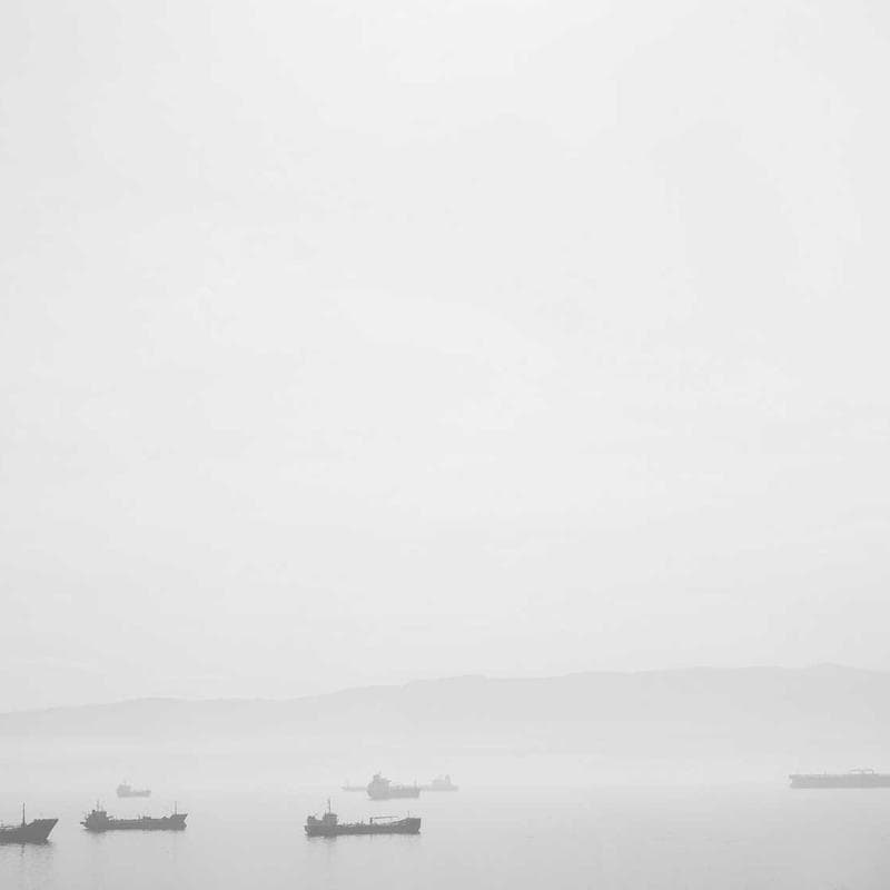 Ayush Guggul Drops No. 73